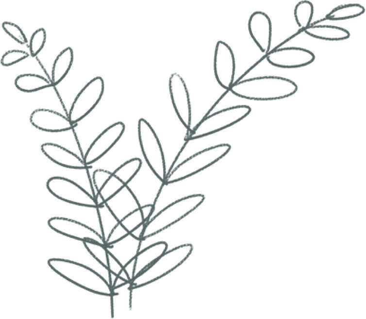 Illustration of leaves